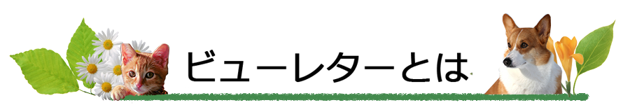 ビューレターとは