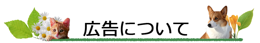 広告料金について